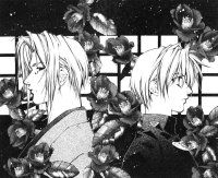 BUY NEW yami no matsuei - 131920 Premium Anime Print Poster
